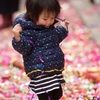 annie9596