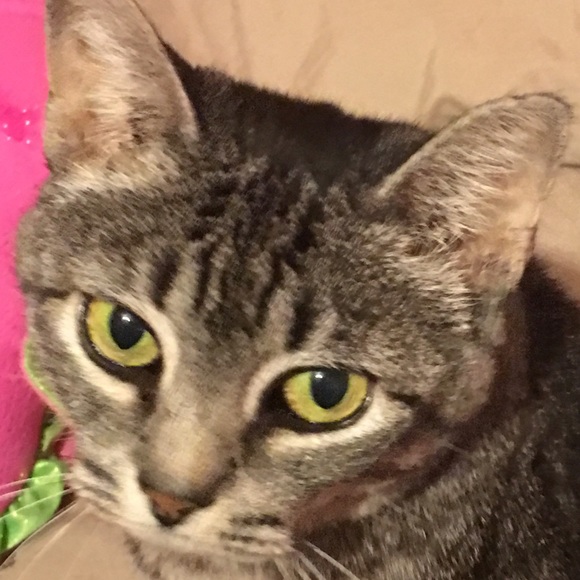 chunnyluv