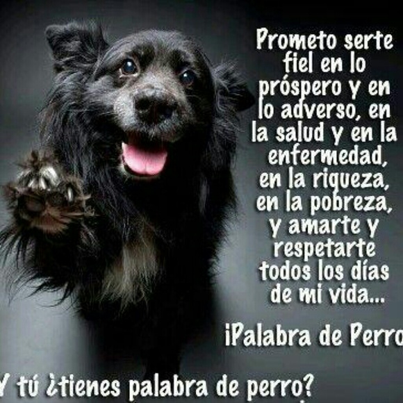 comerio2