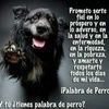 comerio2