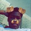 iamdaddy13