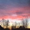 alaina_aarness