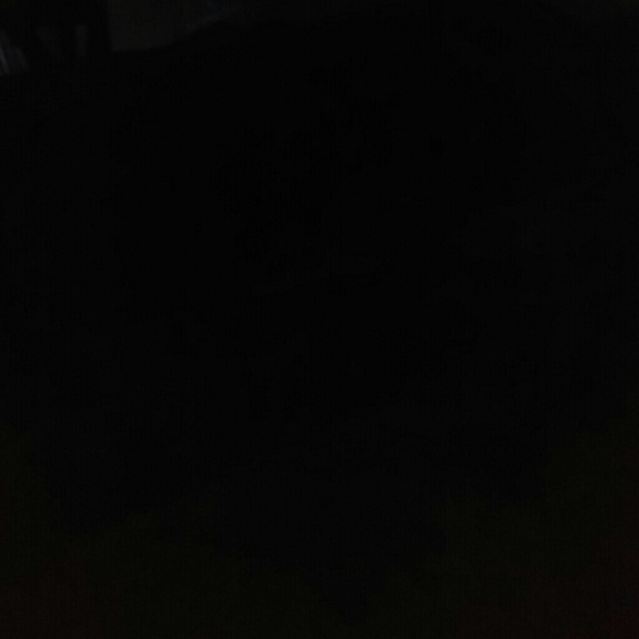 sandrataylor5
