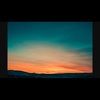 miabug_112125