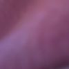 ninabeans13479