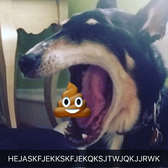 beefjakey