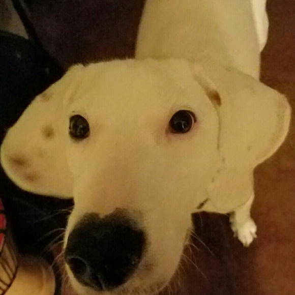 pugeyes
