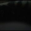 hickmanjm12