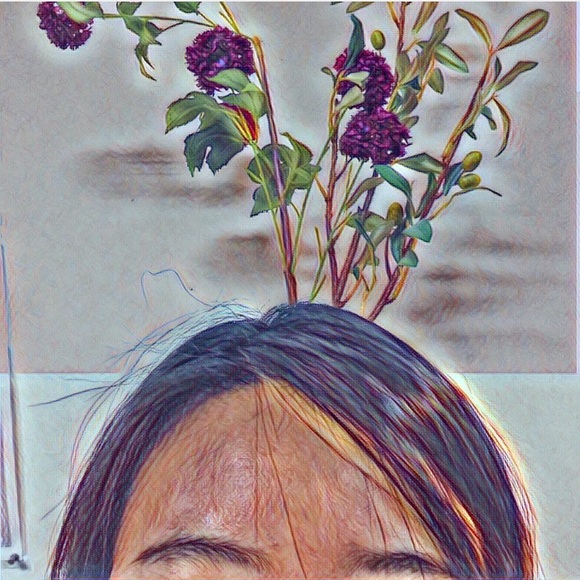 yupgidotcom