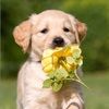ashley_1715