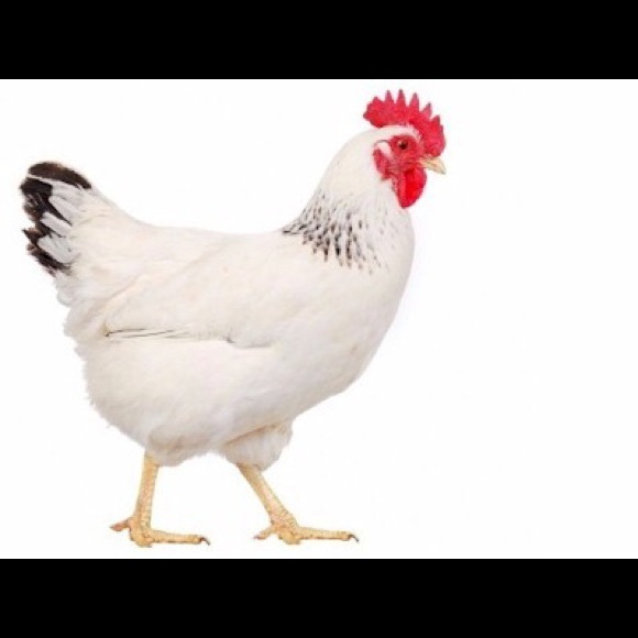 thehidson