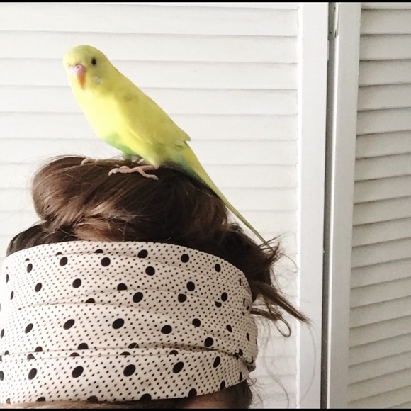 birdsandbaubles