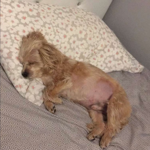 emmycasanova_