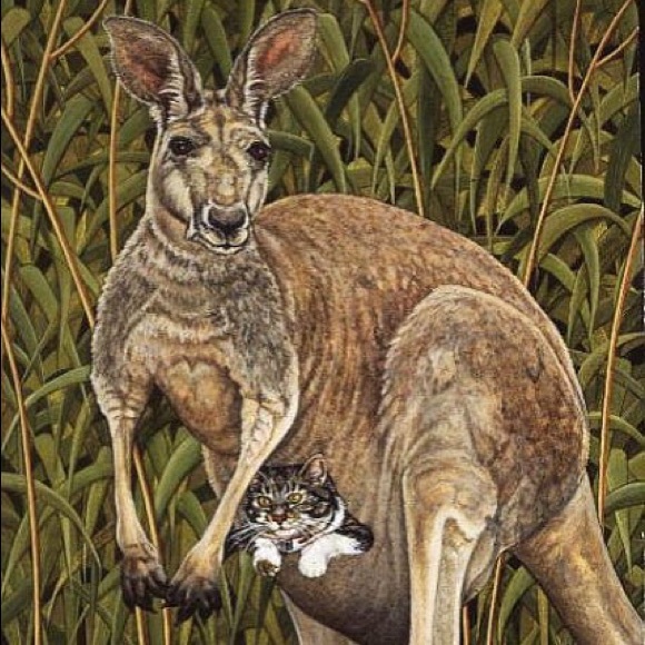 jvarvaro