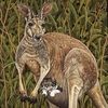 jvarvaro