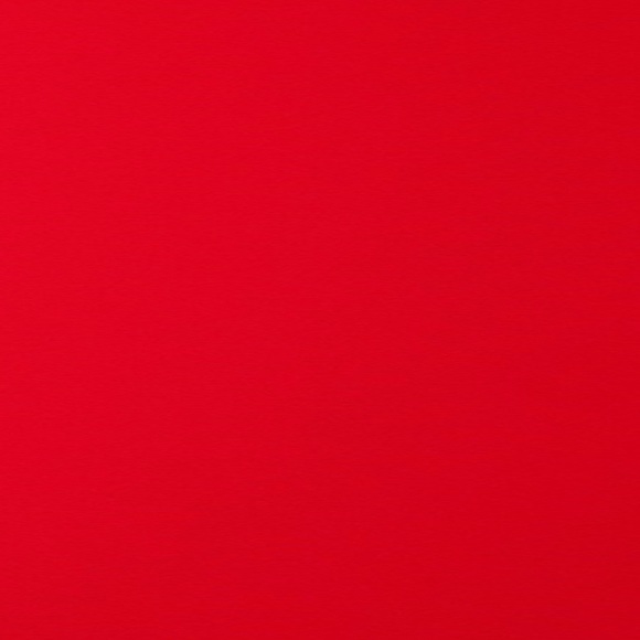shylene_lee