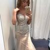 paradastephanie