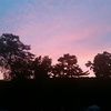 shanta_c