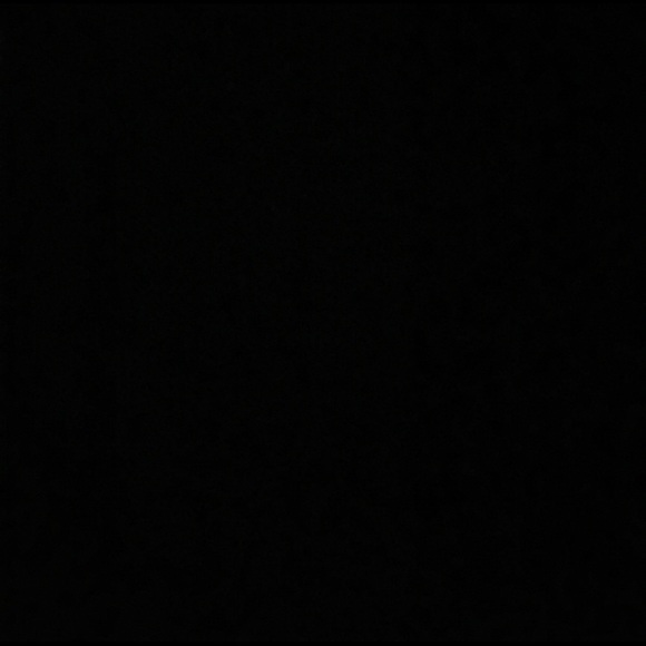 rodrigom237
