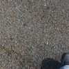 yolae360