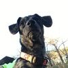 k9lawmanslady k9lawmanslady