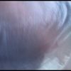 chadmurphy_71