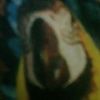 jdawg1222420