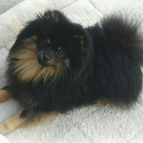 leighleigh2u
