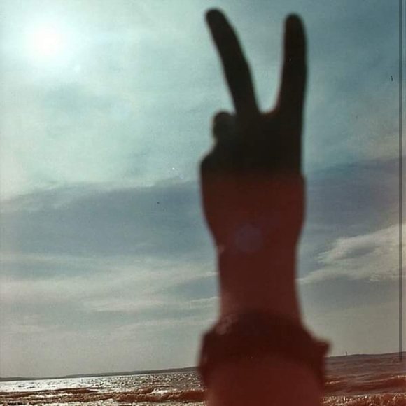 loveevolves