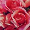 reema15546