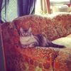 amandarhoads86
