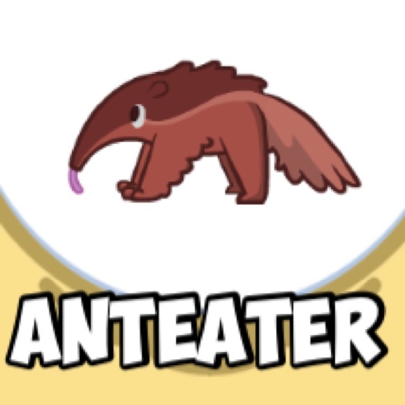 anteater22