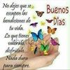 ortiz920