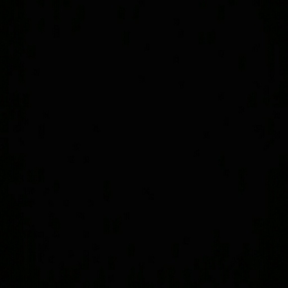 emily_vassak