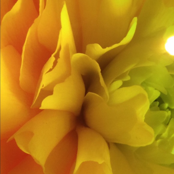 suntanone