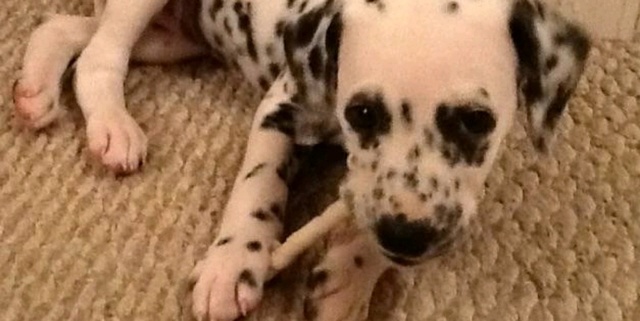 Poshmark banner for @drool