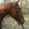 sandrar0220