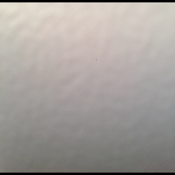 pdasilva870