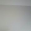 birdladee2