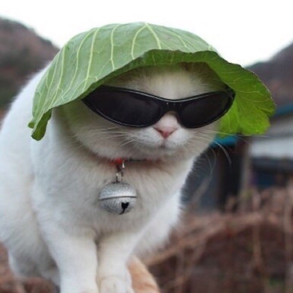 chilldudeguy45
