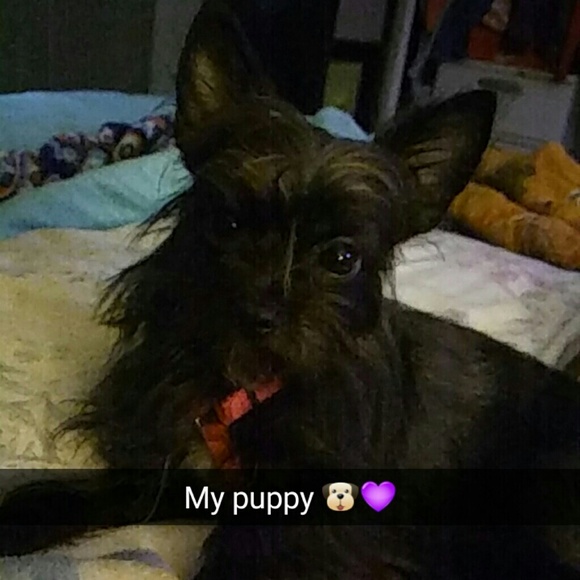 lexie_hugelheim