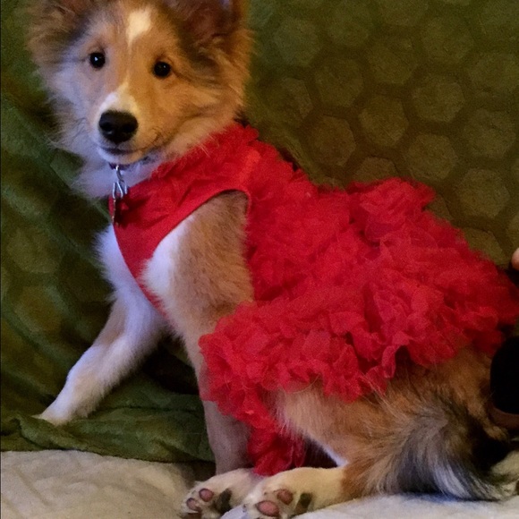 pamelawiest