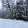 joshtricia0123