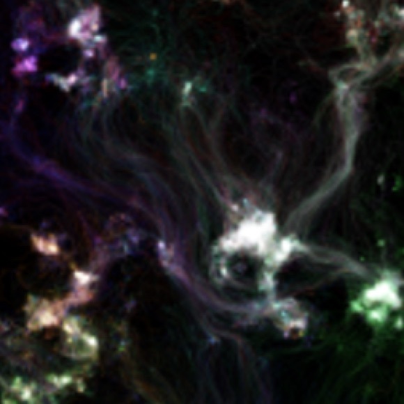 aestheticalplz