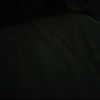 alisha_atree