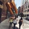 haynyc