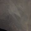 gregdakid17