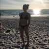 paynenix
