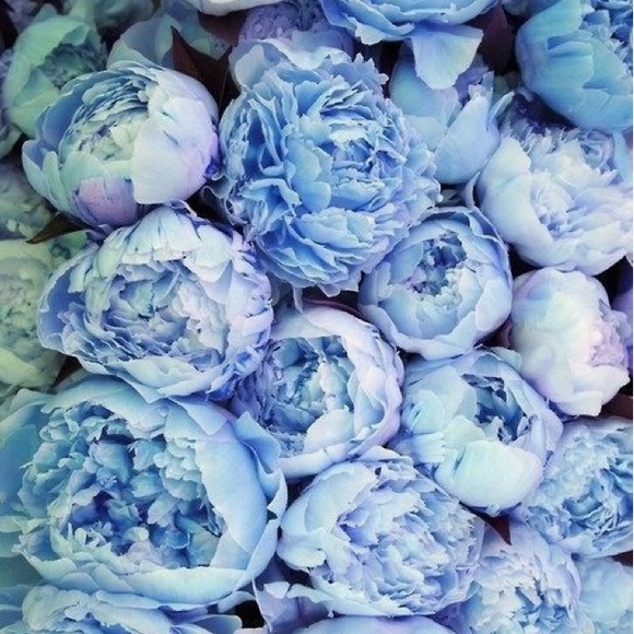 erin_hanson