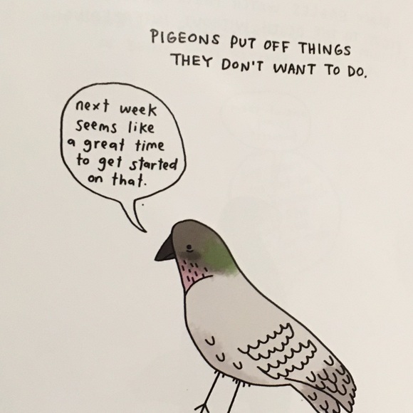 lazypigeon